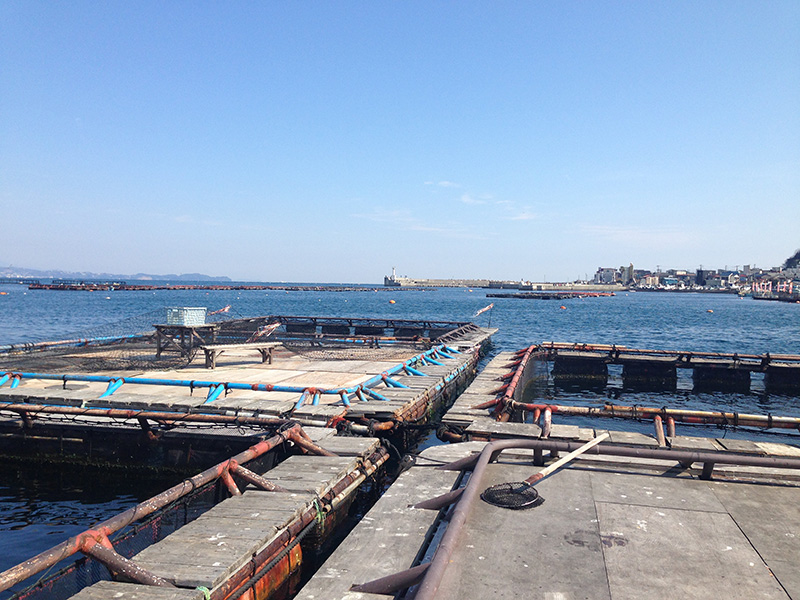 もう熱海に来ても釣り場に迷わない 熱海で釣りができる場所や釣れる魚などをご紹介します 投げ釣り好きのアウトドア日記 Throw Life Fishing